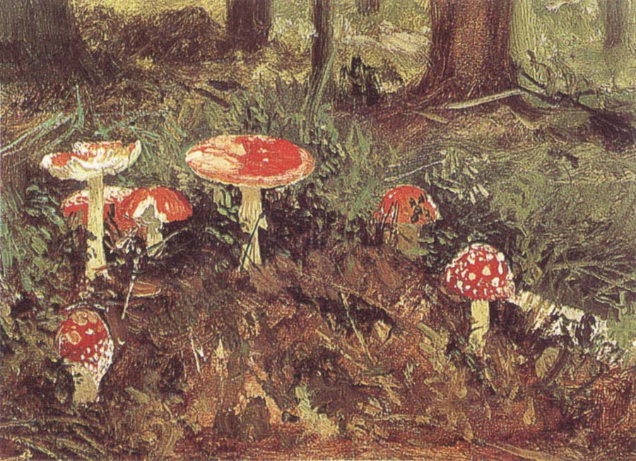 Ivan Shishkin Fly-Agarics,Study